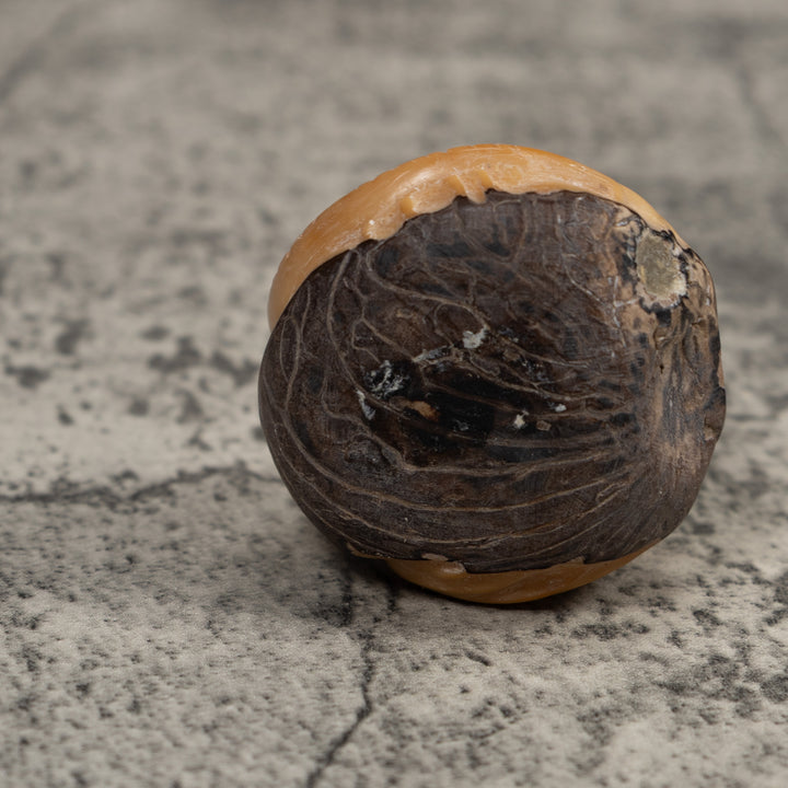 Vintage White Natural Iguana Tagua Carving