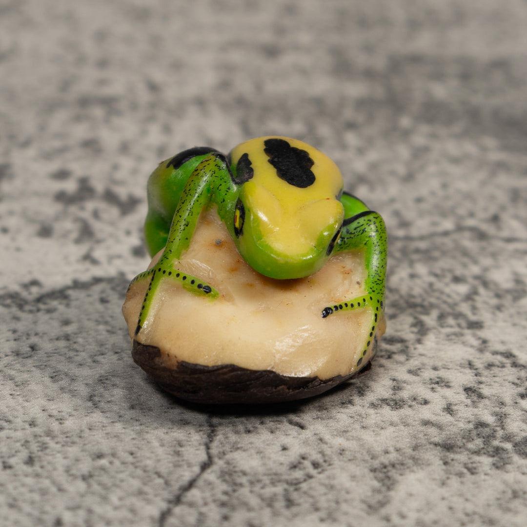 Black Green And Yellow Poison Dart Frog Tagua Carving