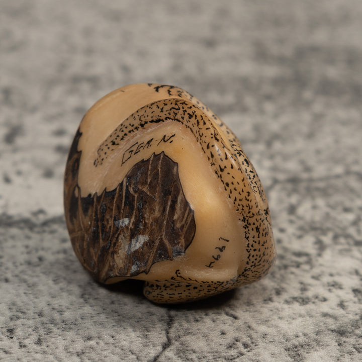 Vintage Black And White Monkey Tagua Carving