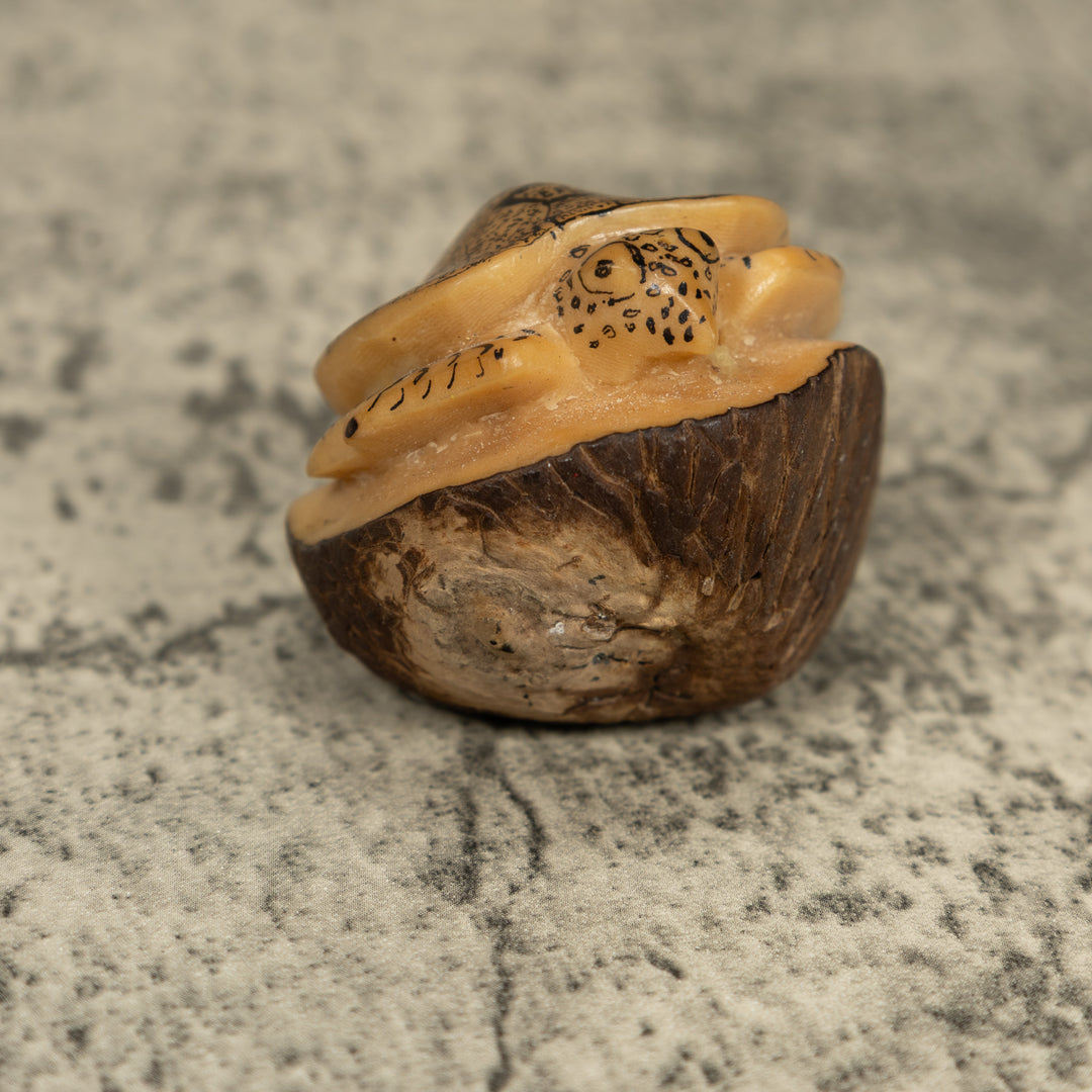 Vintage Sea Turtle Tagua Carving