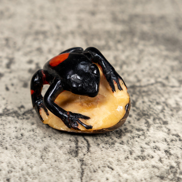 Poison Dart Frog Tagua Carving