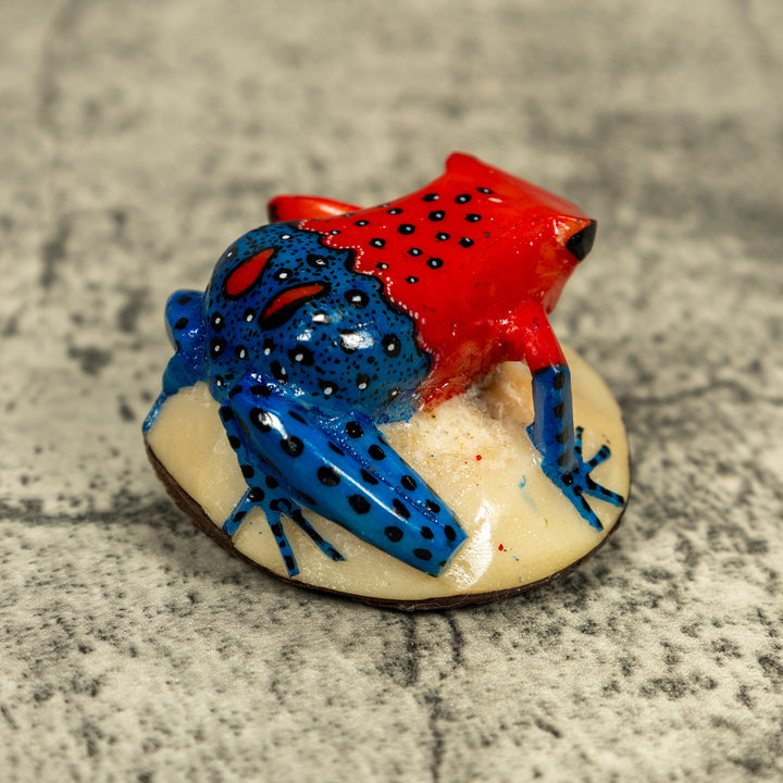 Red And Blue Poison Dart Frog Tagua Carving