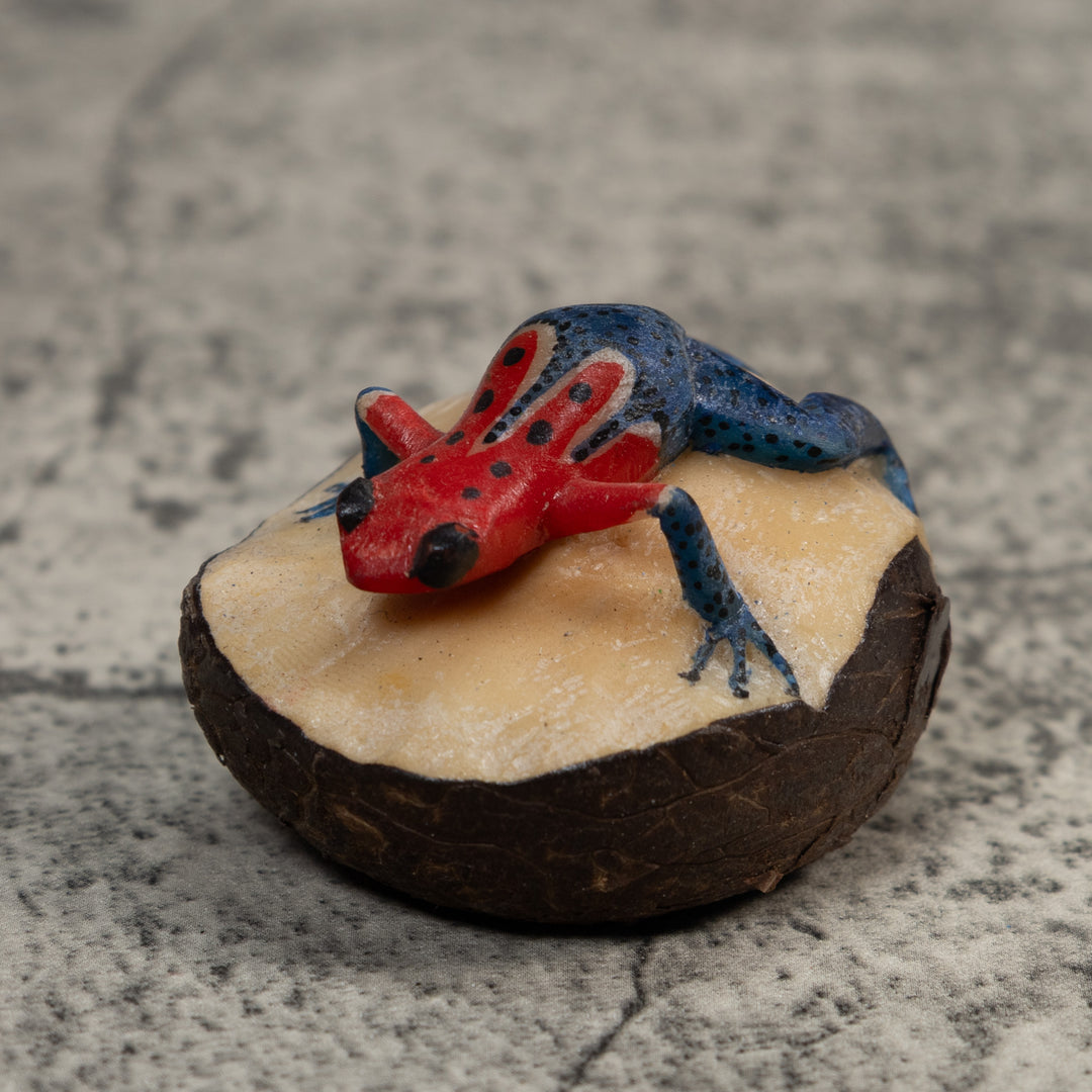 Red And Blue Poison Dart Frog Tagua Carving