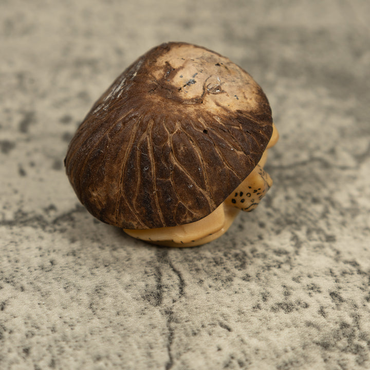 Vintage Sea Turtle Tagua Carving