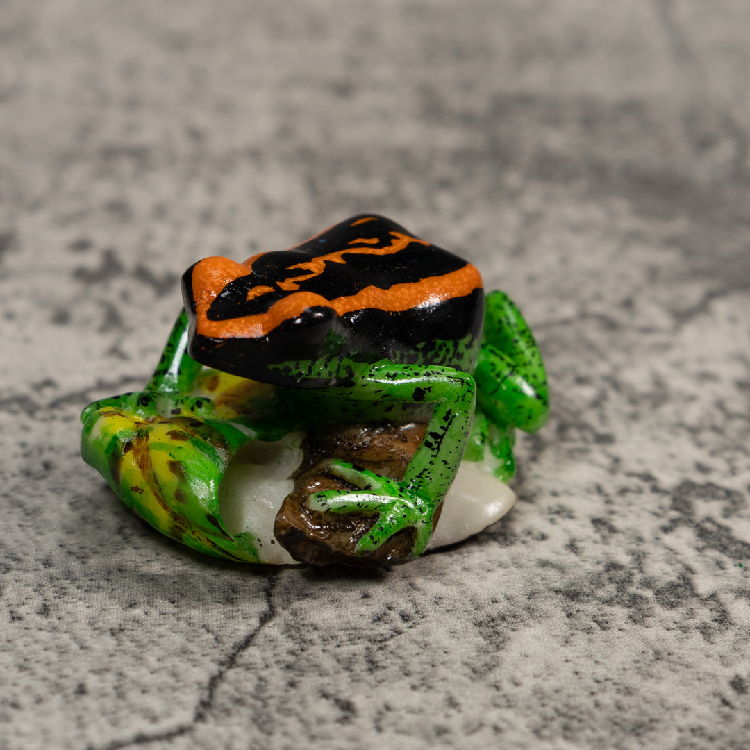 Poison Dart Frog Tagua Carving