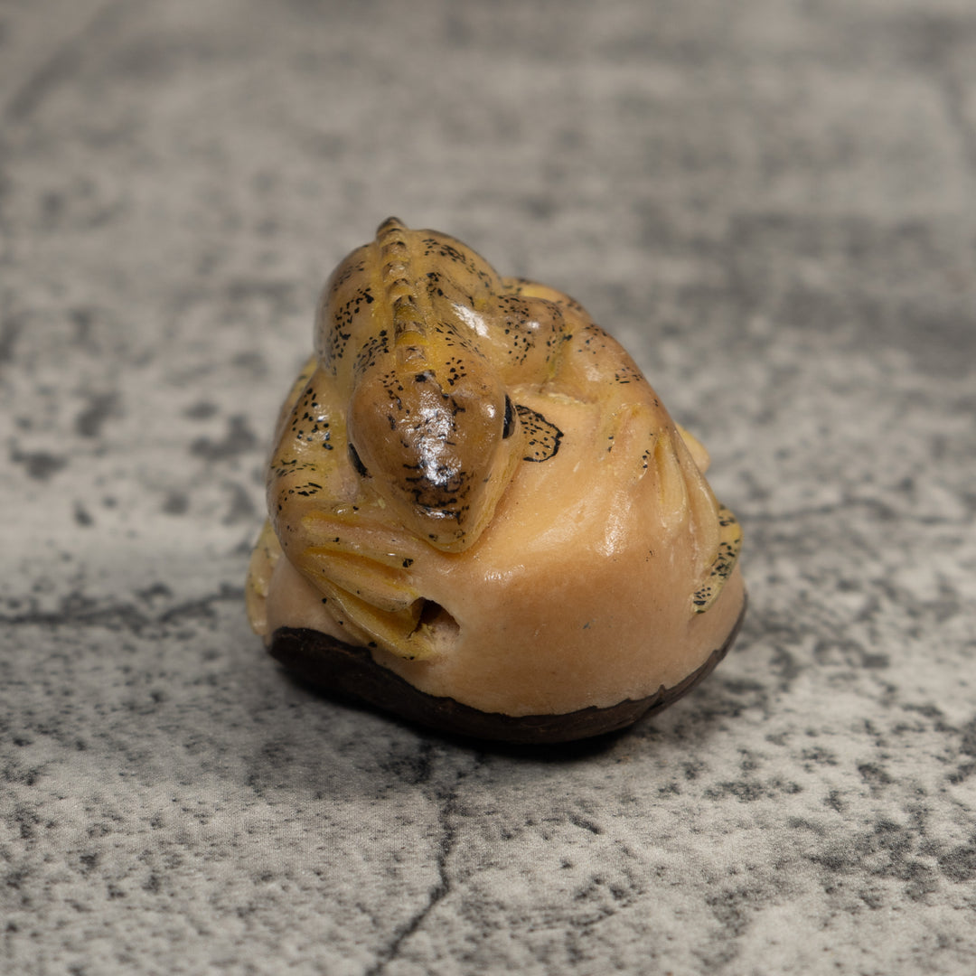 Vintage Brown And Tan Gecko Lizard Tagua Carving