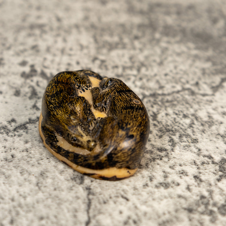 Double Coatimundi Tagua Carving