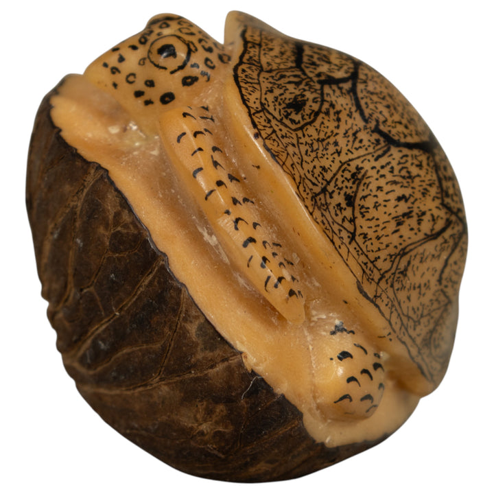 Vintage Sea Turtle Tagua Carving