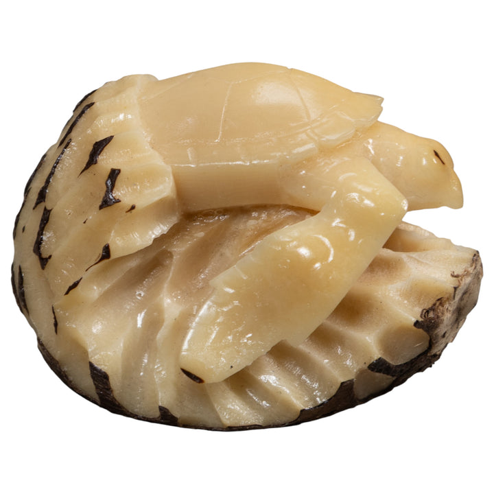 Vintage White Natural Sea Turtle Tagua Carving