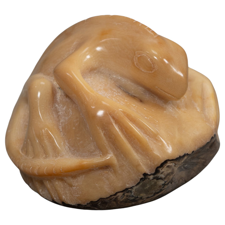 Vintage White Natural Iguana Tagua Carving