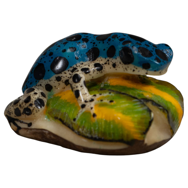 Blue And White Dart Frog Tagua Carving