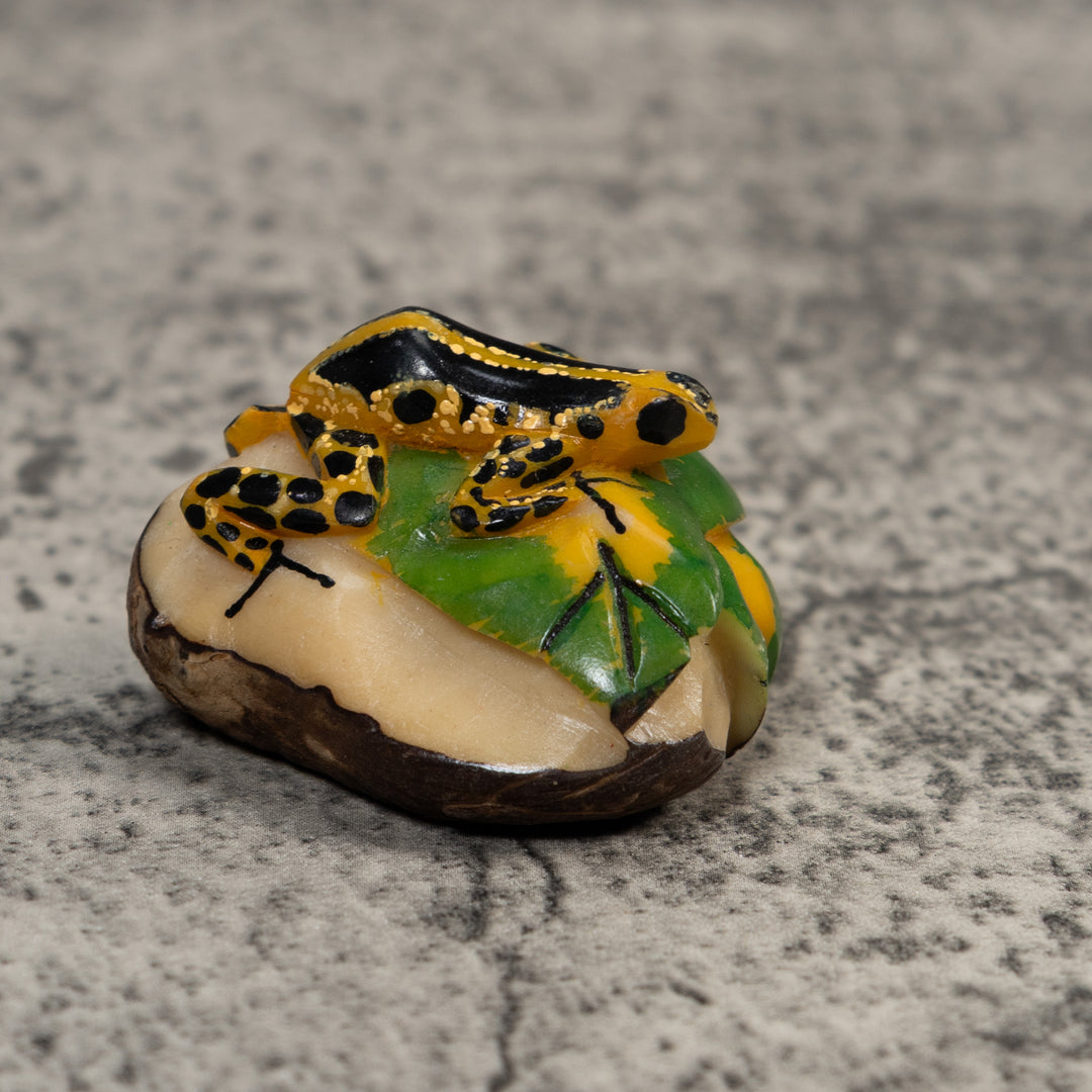 Gold And Black Poison Dart Frog Tagua Carving