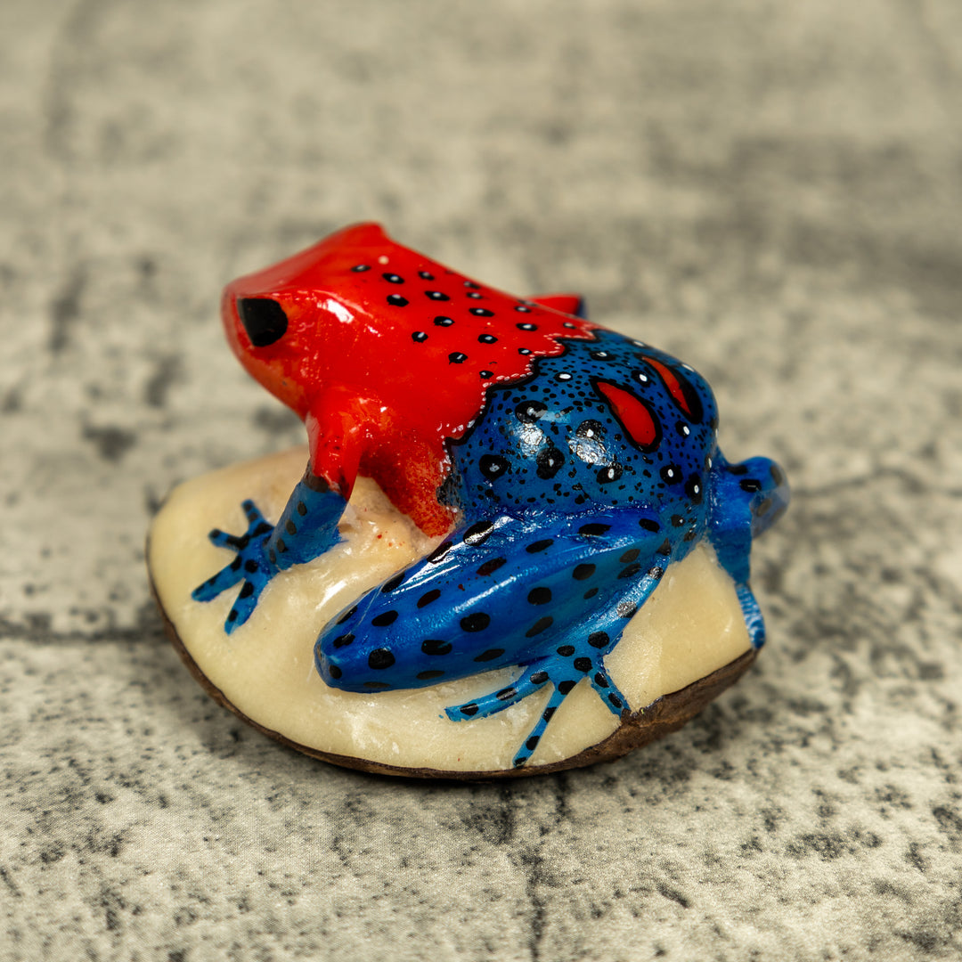 Red And Blue Poison Dart Frog Tagua Carving