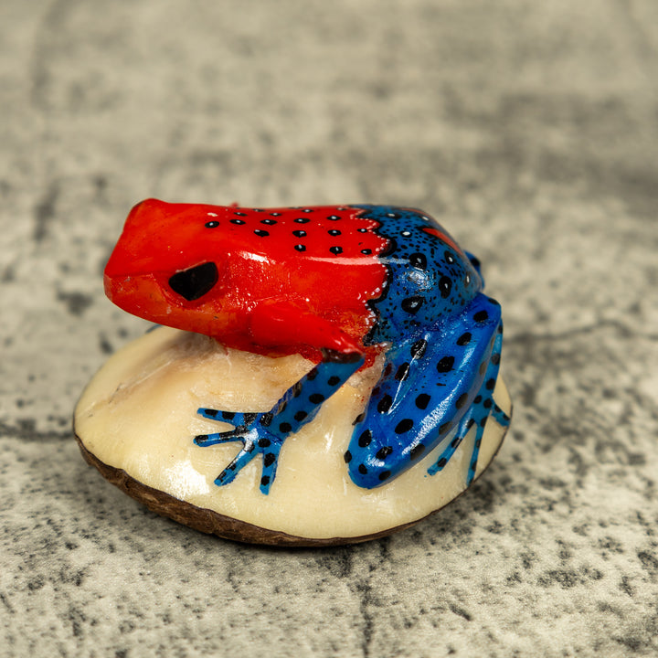 Red And Blue Poison Dart Frog Tagua Carving