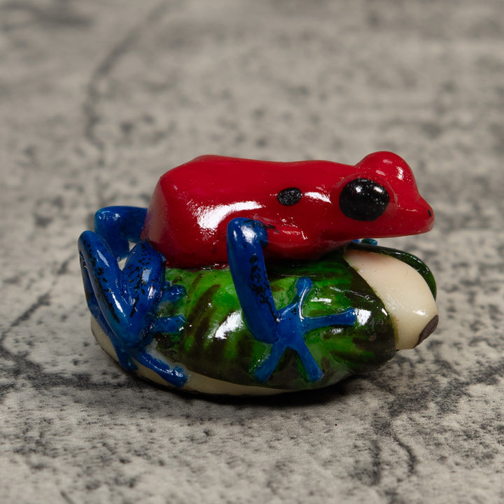 Red Blue And Green Poison Dart Frog Tagua Carving