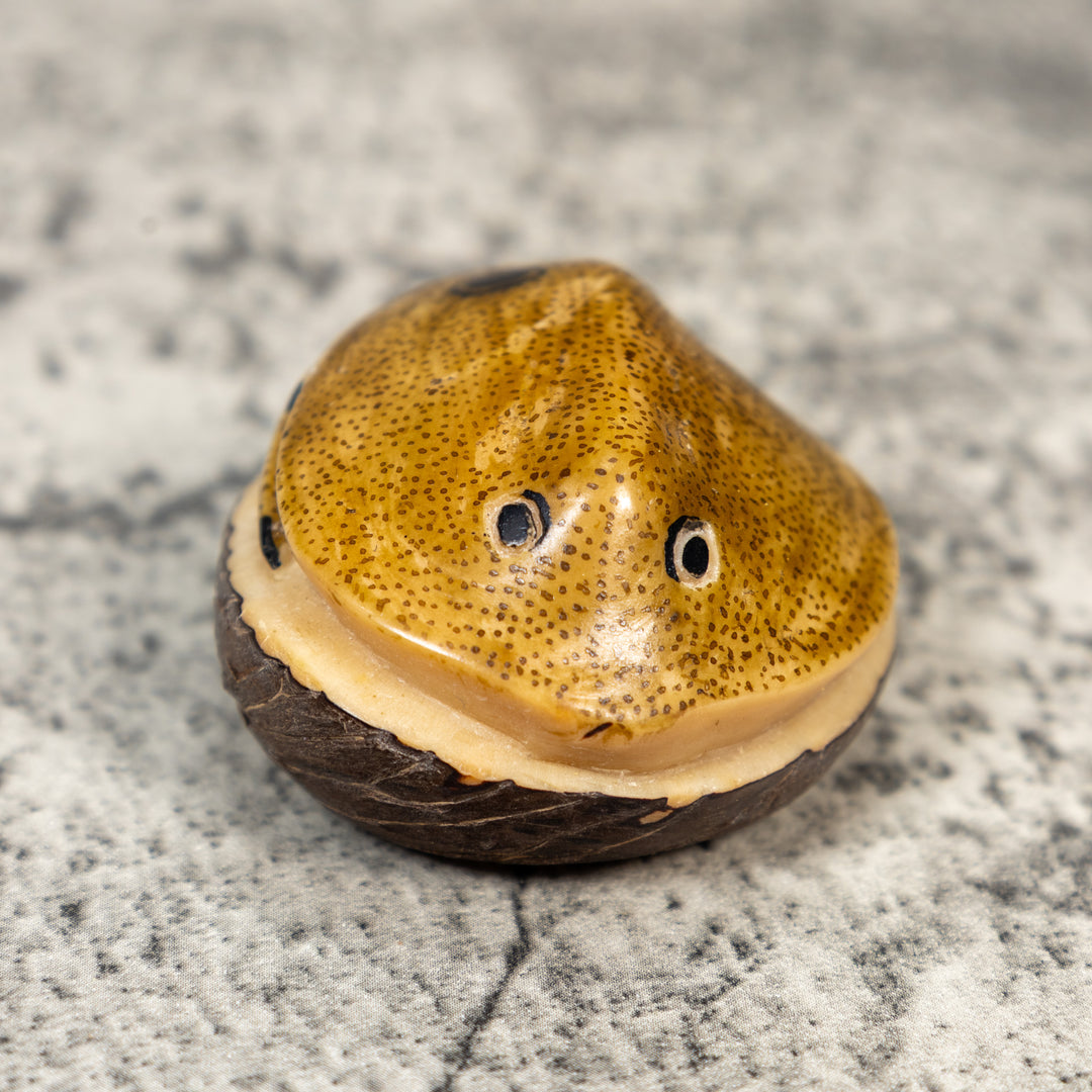 Ocean Stingray Tagua Carving