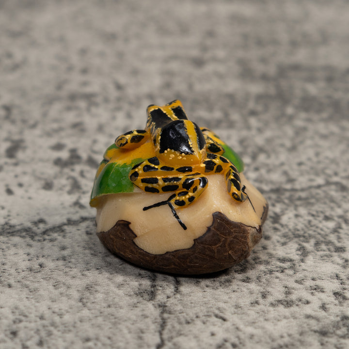 Gold And Black Poison Dart Frog Tagua Carving