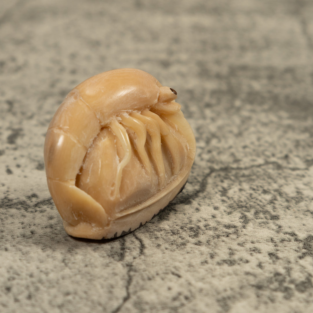 Vintage White Shrimp Tagua Carving