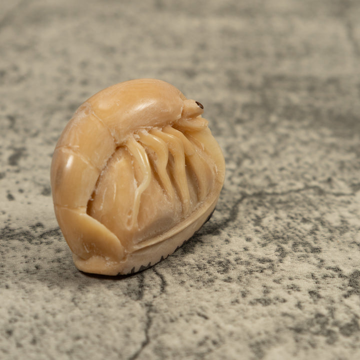 Vintage White Shrimp Tagua Carving