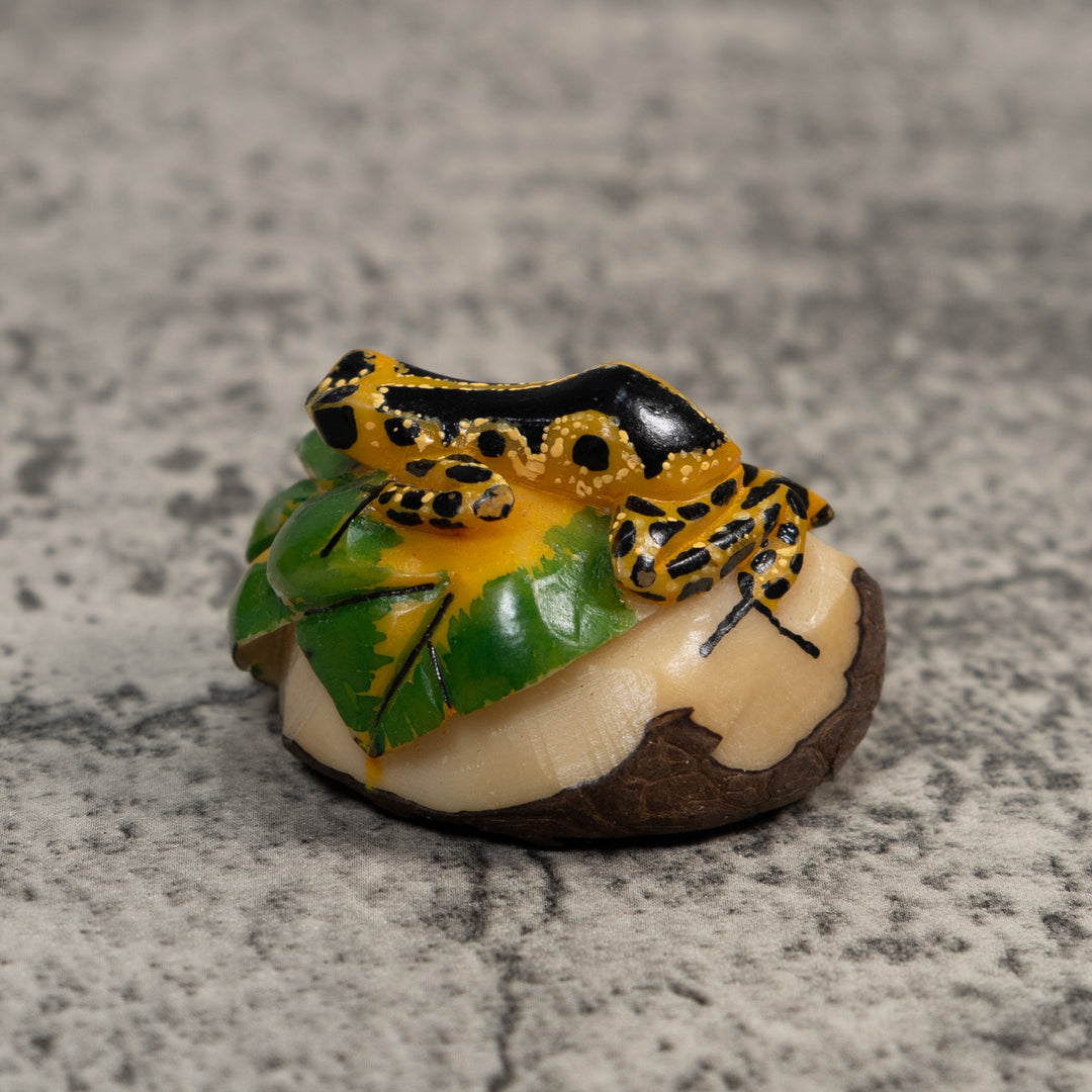 Gold And Black Poison Dart Frog Tagua Carving