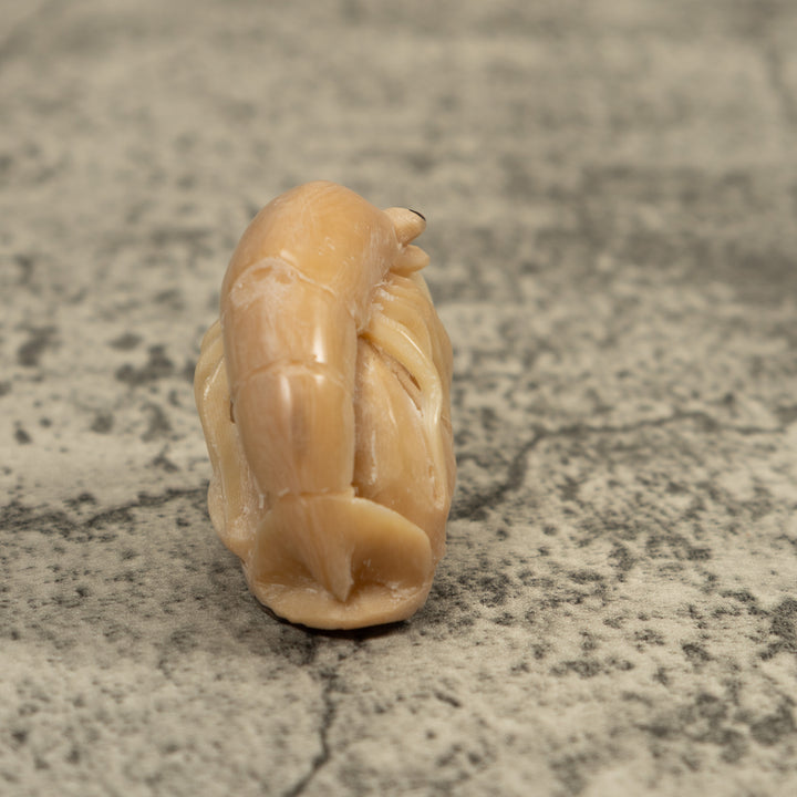 Vintage White Shrimp Tagua Carving