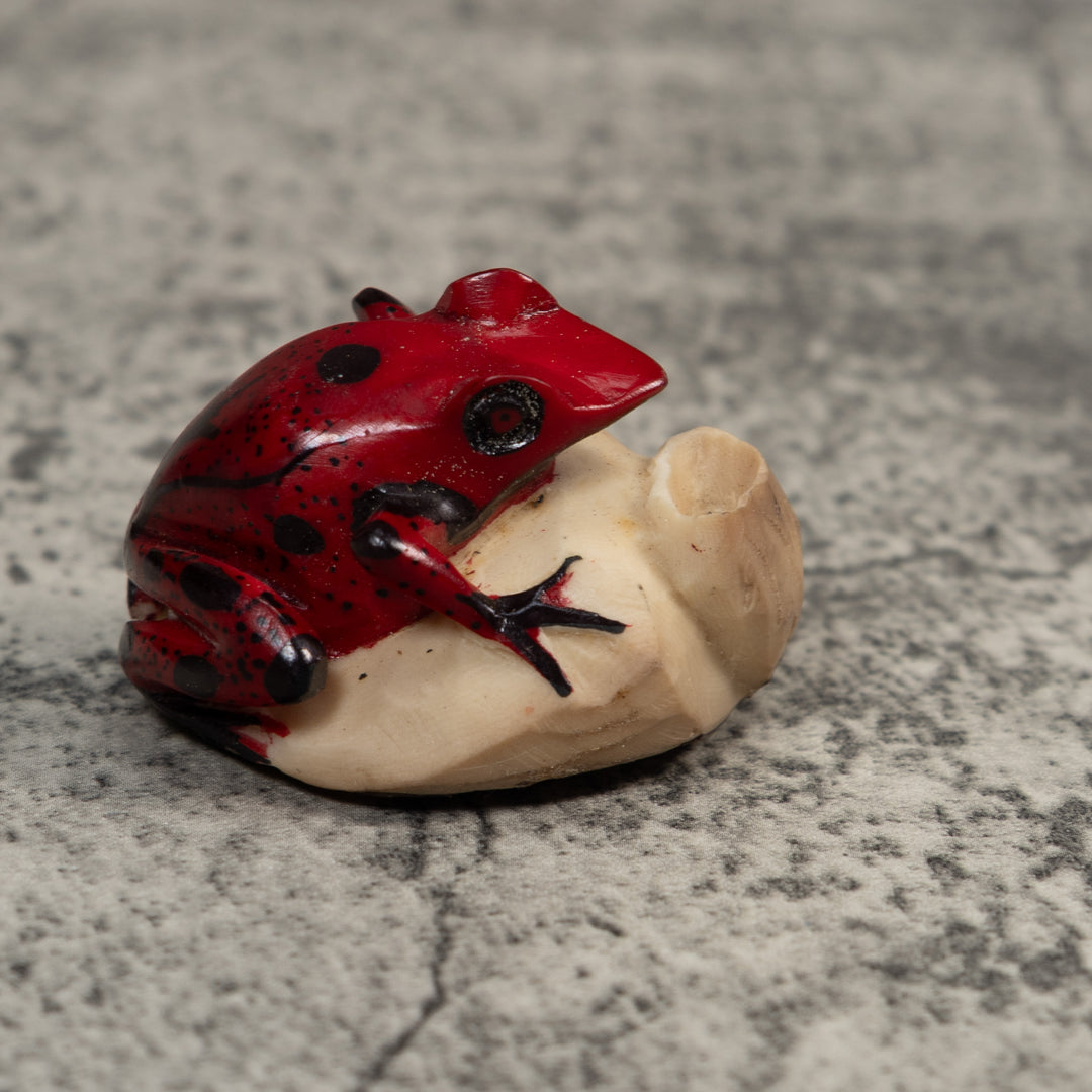 Red And Black Poison Dart Frog Tagua Carving