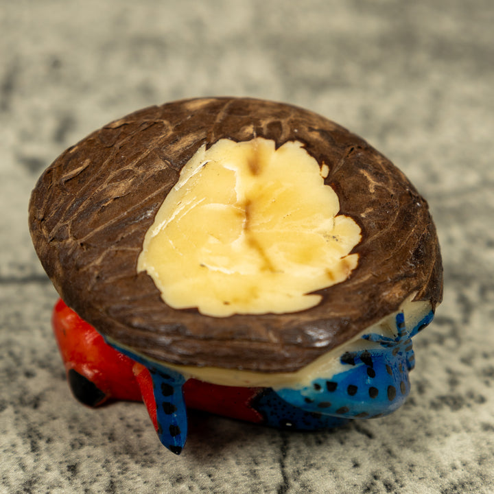 Red And Blue Poison Dart Frog Tagua Carving