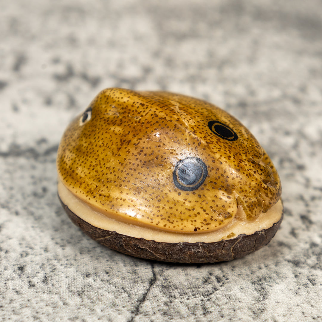 Ocean Stingray Tagua Carving