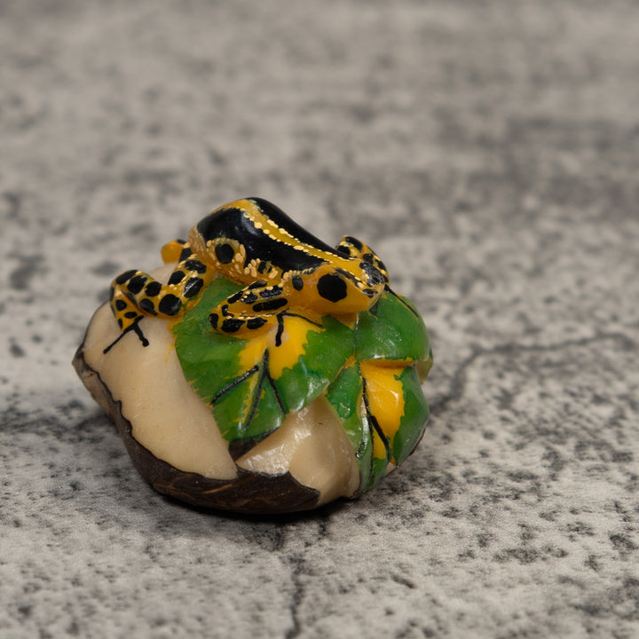 Gold And Black Poison Dart Frog Tagua Carving