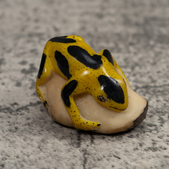 Vintage Yellow And Black Frog Tagua Carving