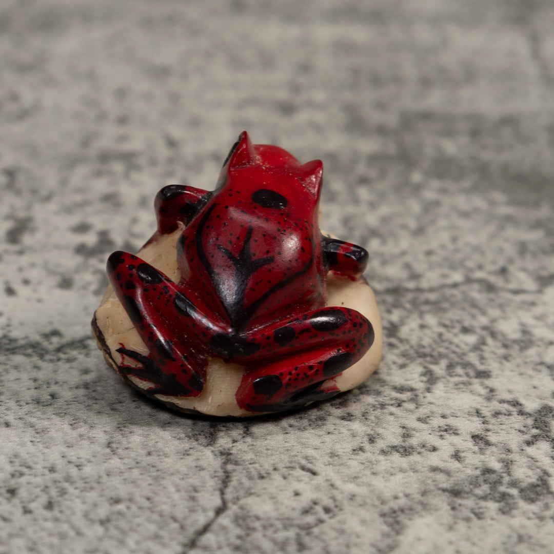 Red And Black Poison Dart Frog Tagua Carving
