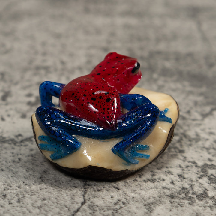 Red And Blue Poison Dart Frog Tagua Carving