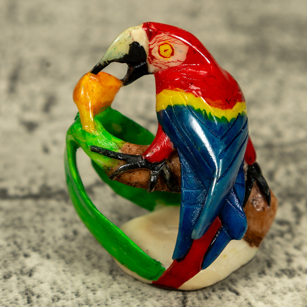 Macaw Parrot Bird Tagua Carving