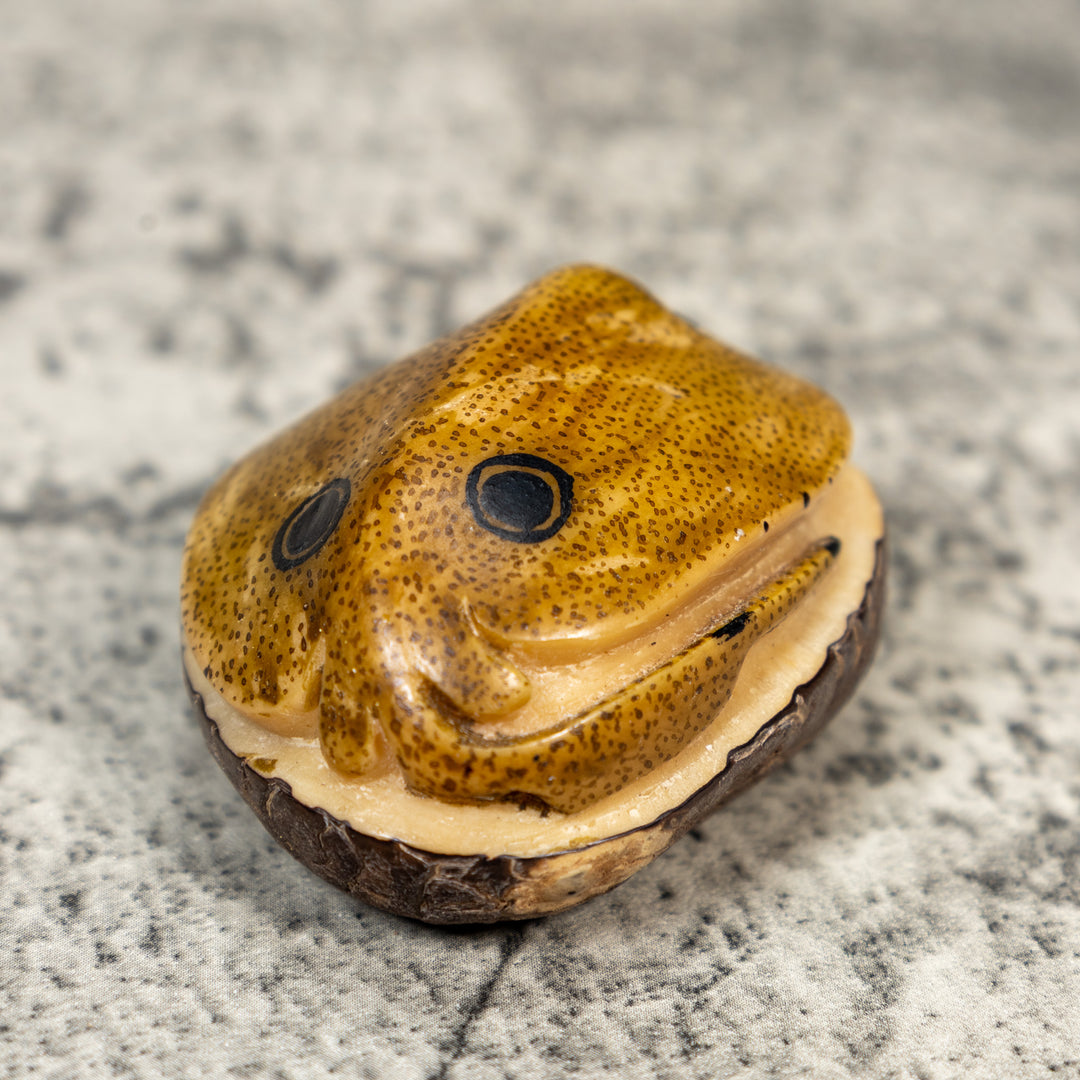 Ocean Stingray Tagua Carving