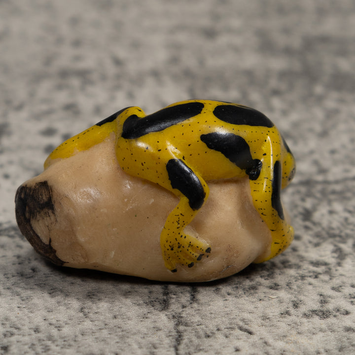 Vintage Yellow And Black Frog Tagua Carving