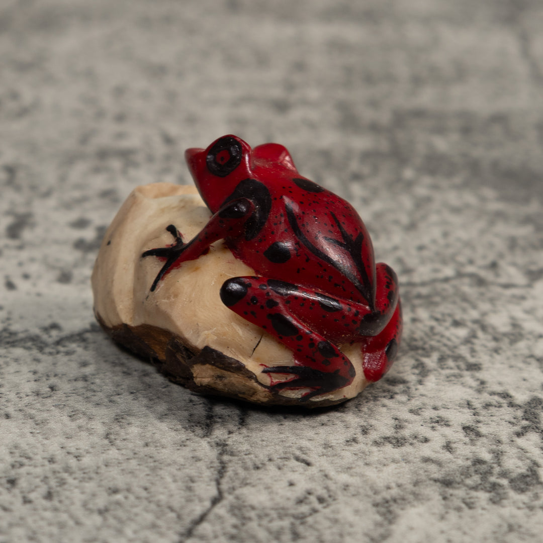 Red And Black Poison Dart Frog Tagua Carving