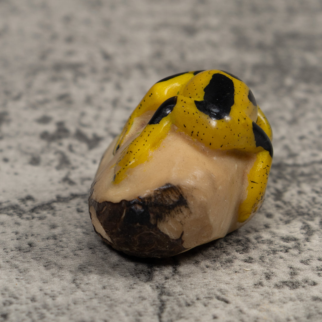 Vintage Yellow And Black Frog Tagua Carving