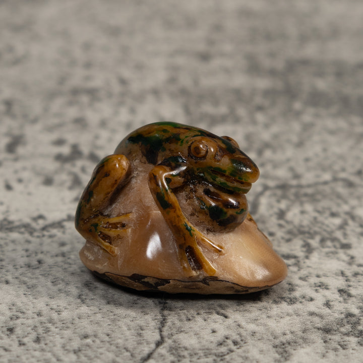 Vintage Brown Blowthroat Poison Dart Frog Tagua Carving