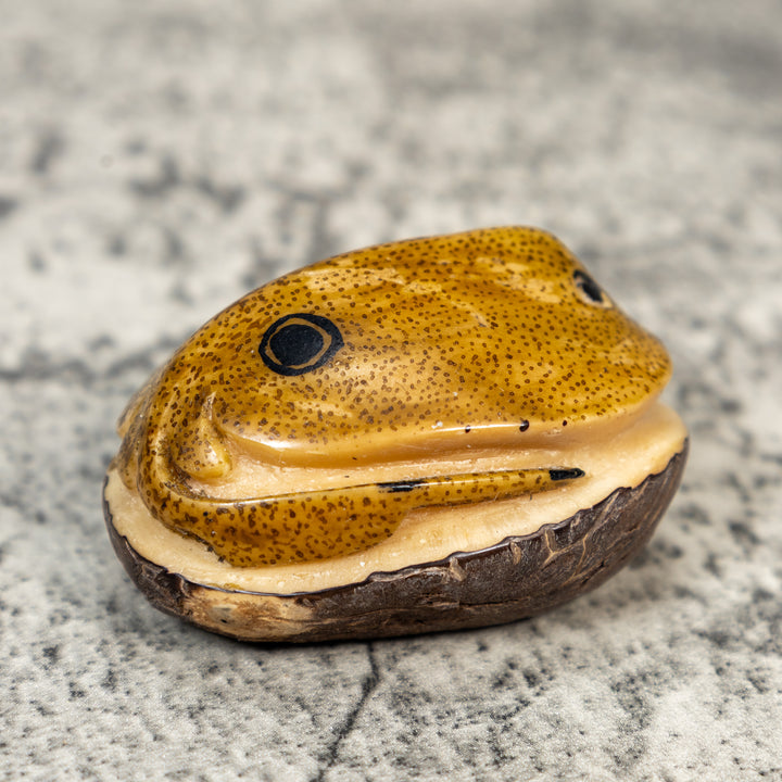 Ocean Stingray Tagua Carving