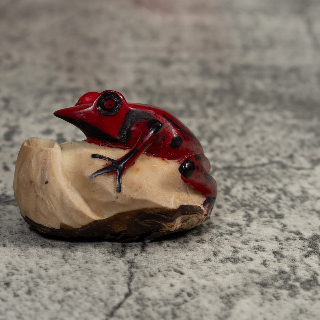 Red And Black Poison Dart Frog Tagua Carving