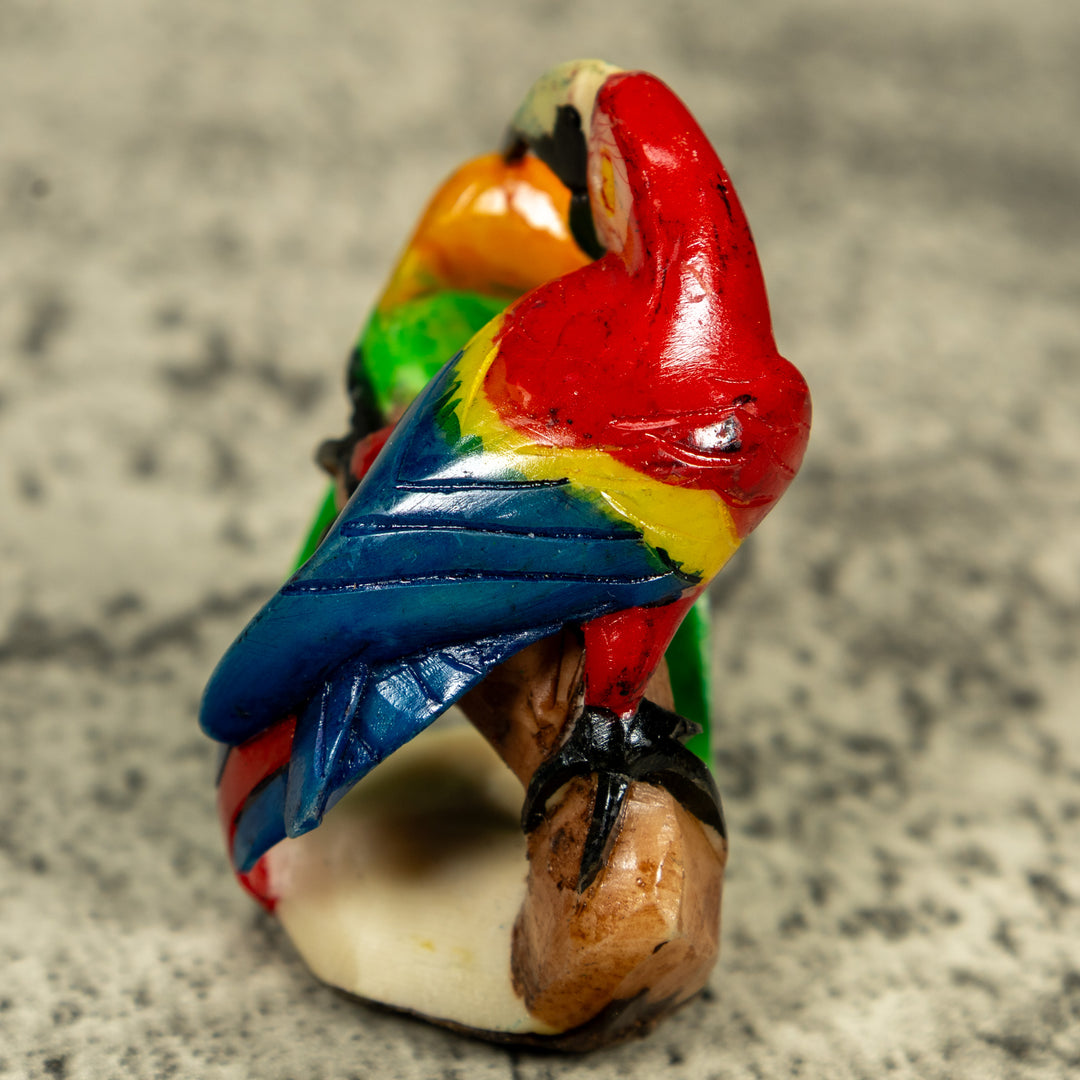 Macaw Parrot Bird Tagua Carving