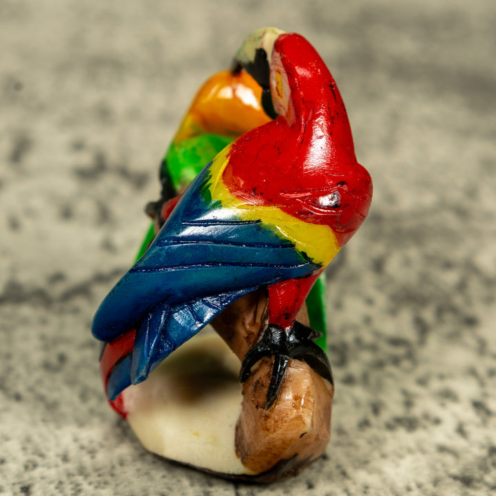 Macaw Parrot Bird Tagua Carving