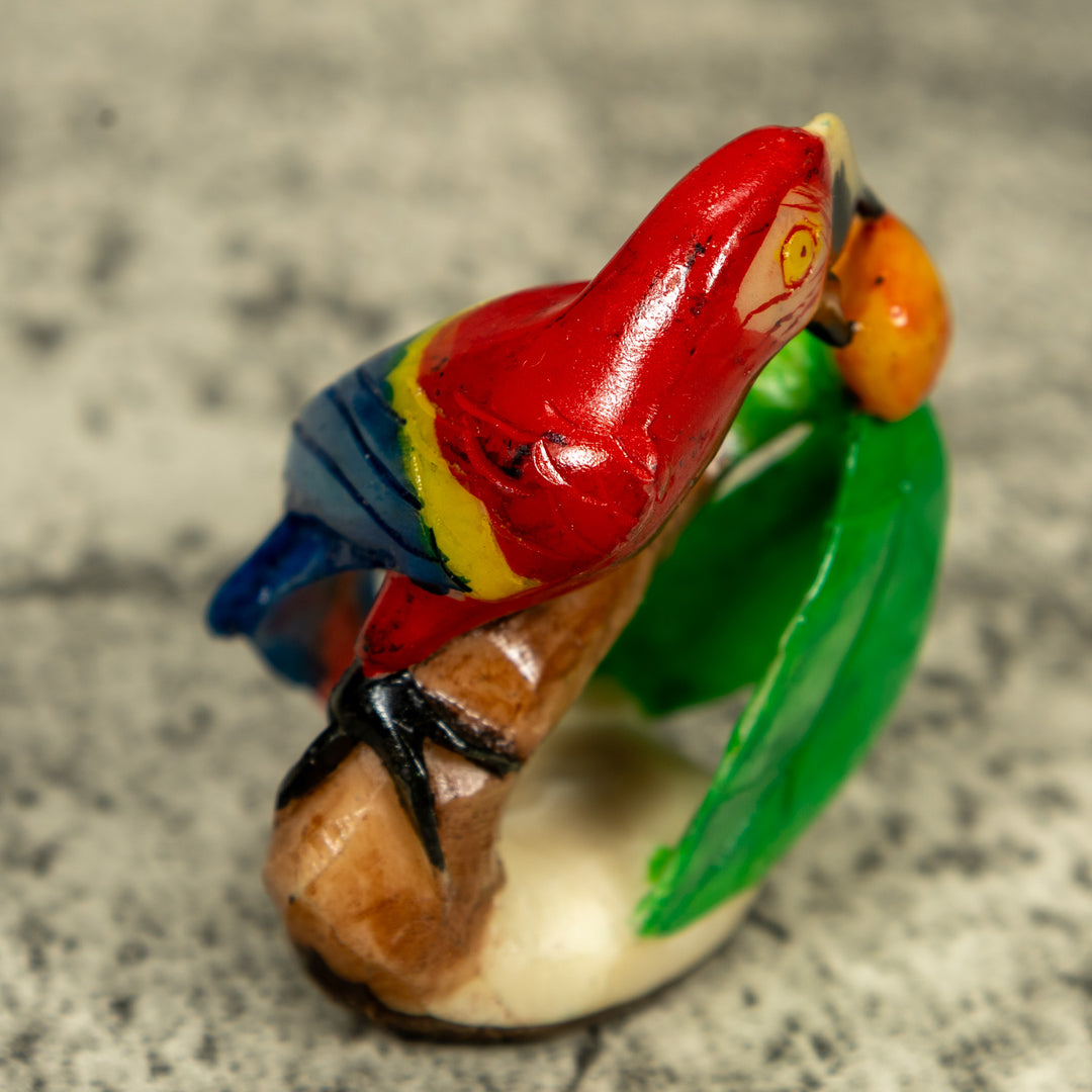 Macaw Parrot Bird Tagua Carving