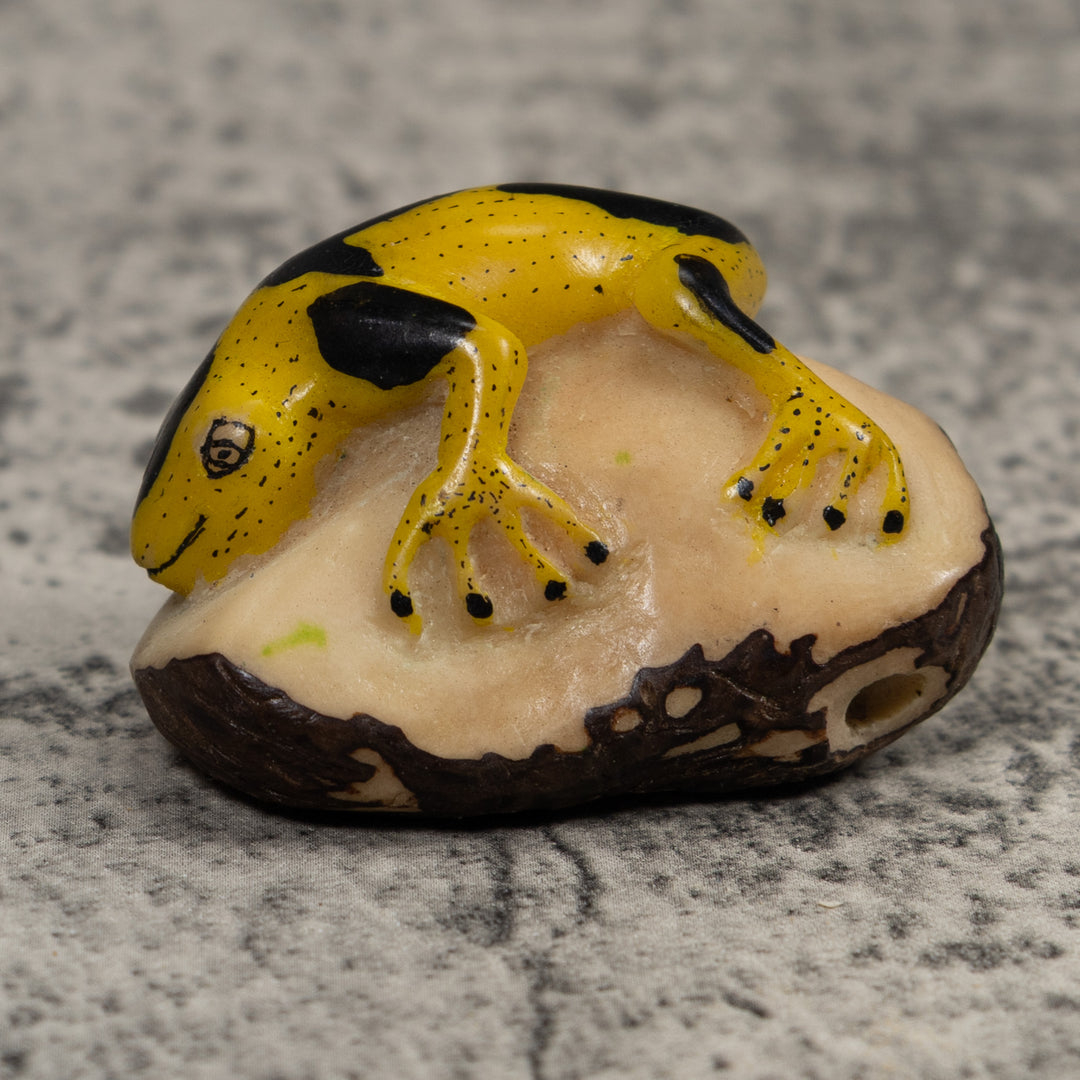 Vintage Yellow And Black Frog Tagua Carving