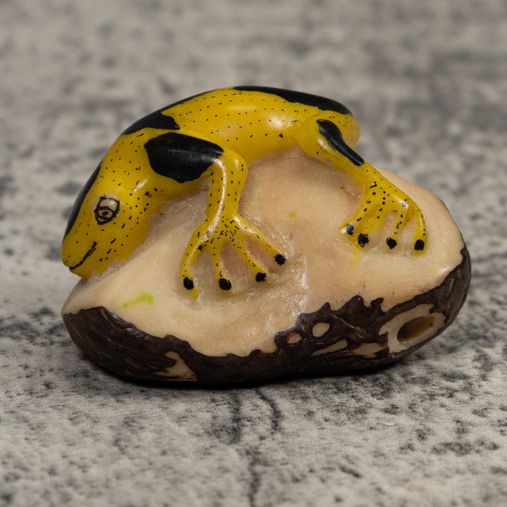 Vintage Yellow And Black Frog Tagua Carving