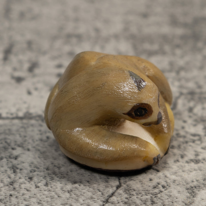 Brown Tan Sloth Tagua Carving