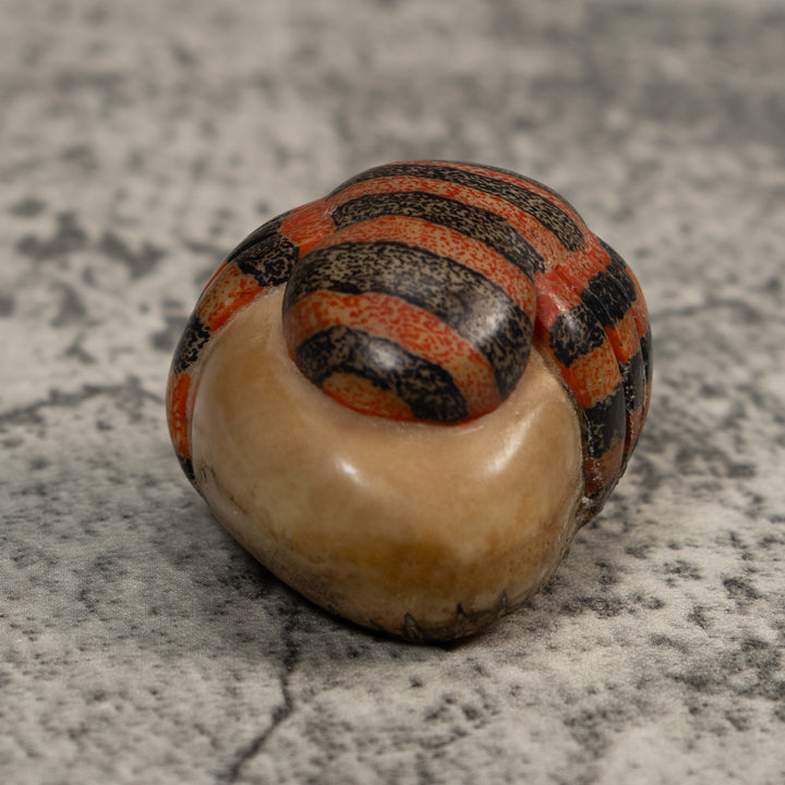 Vintage Red And Black Insect Tagua Carving