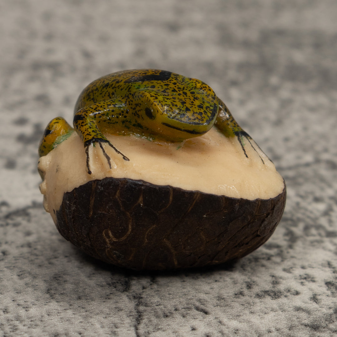 Jungle Frog Toad Tagua Carving