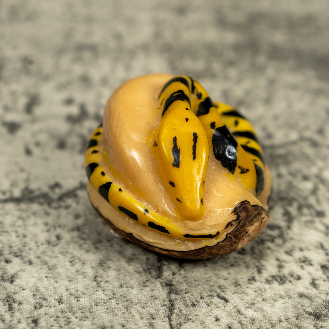 Vintage Black And Yellow Snake Tagua Carving