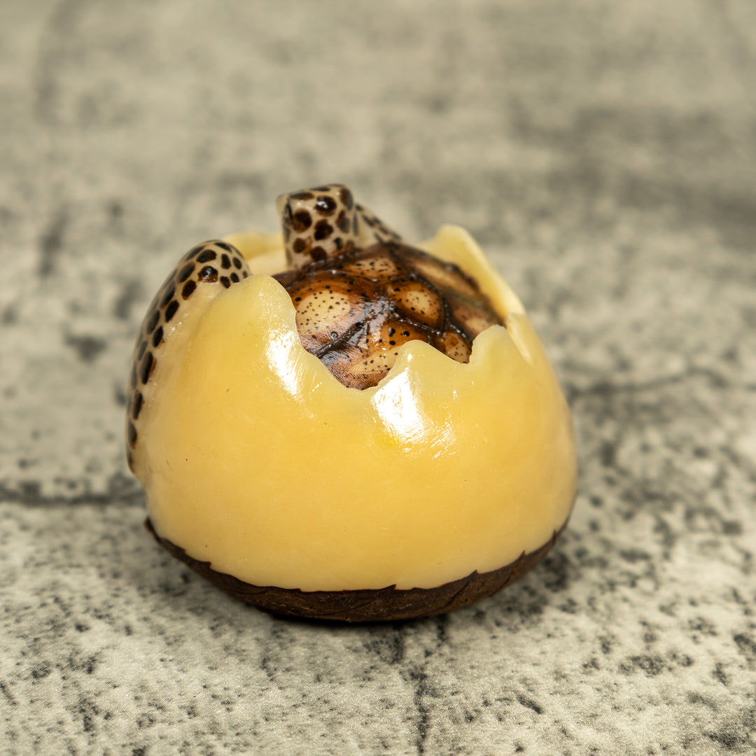 Black And Brown Sea Turtle Emerging From Egg Tagua Carving